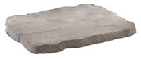 Weathered grey Stepping stone