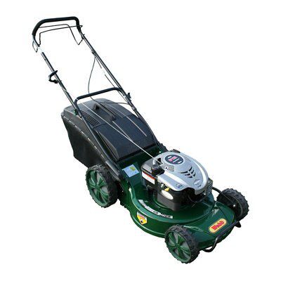 Webb R19A Petrol Lawnmower DIY at B Q