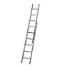 Werner 12 tread Extension Ladder