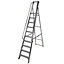 Werner 9 tread Aluminium Platform step Ladder (H)2.74m