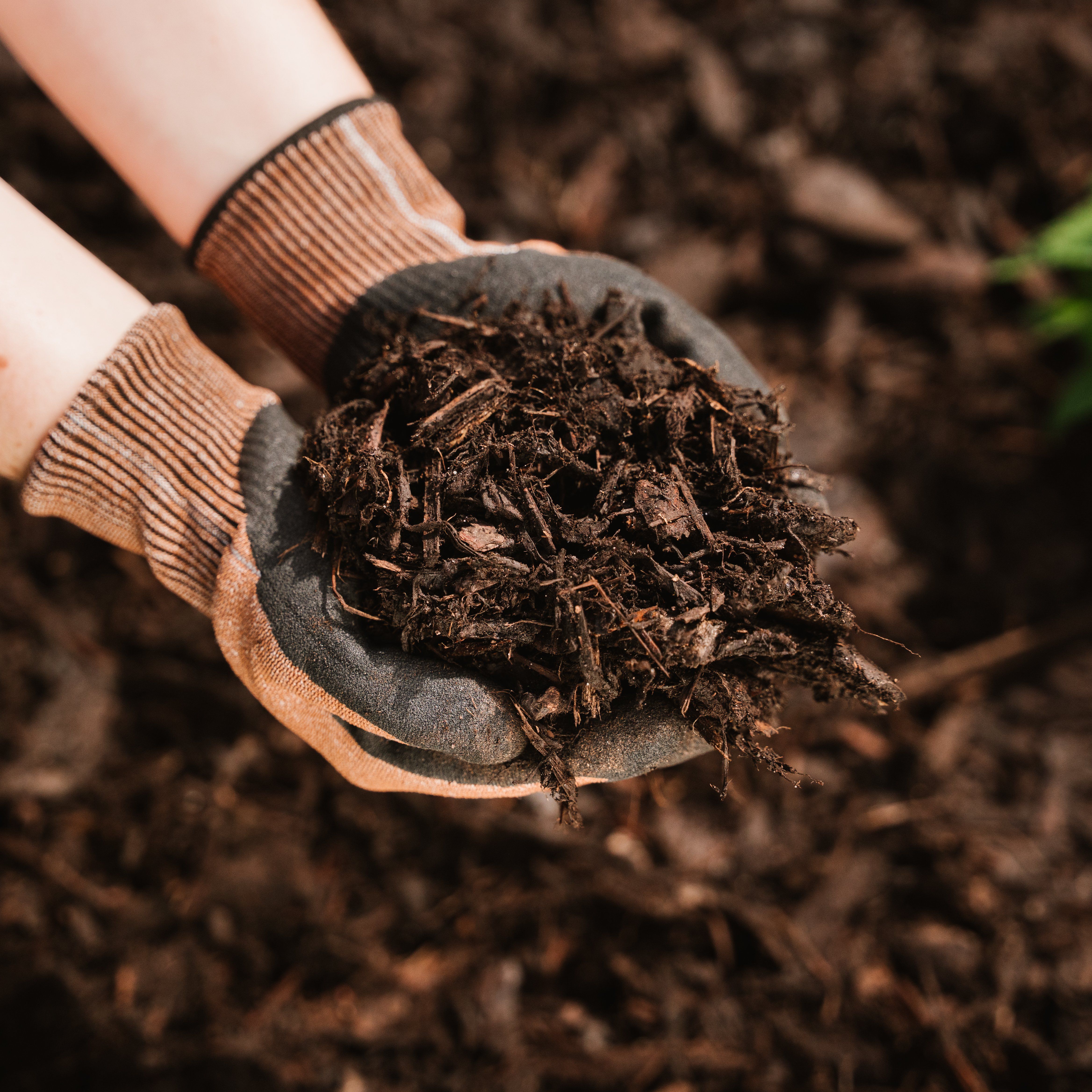 Westland Bed & Border Brown Bark chippings 50L Bag