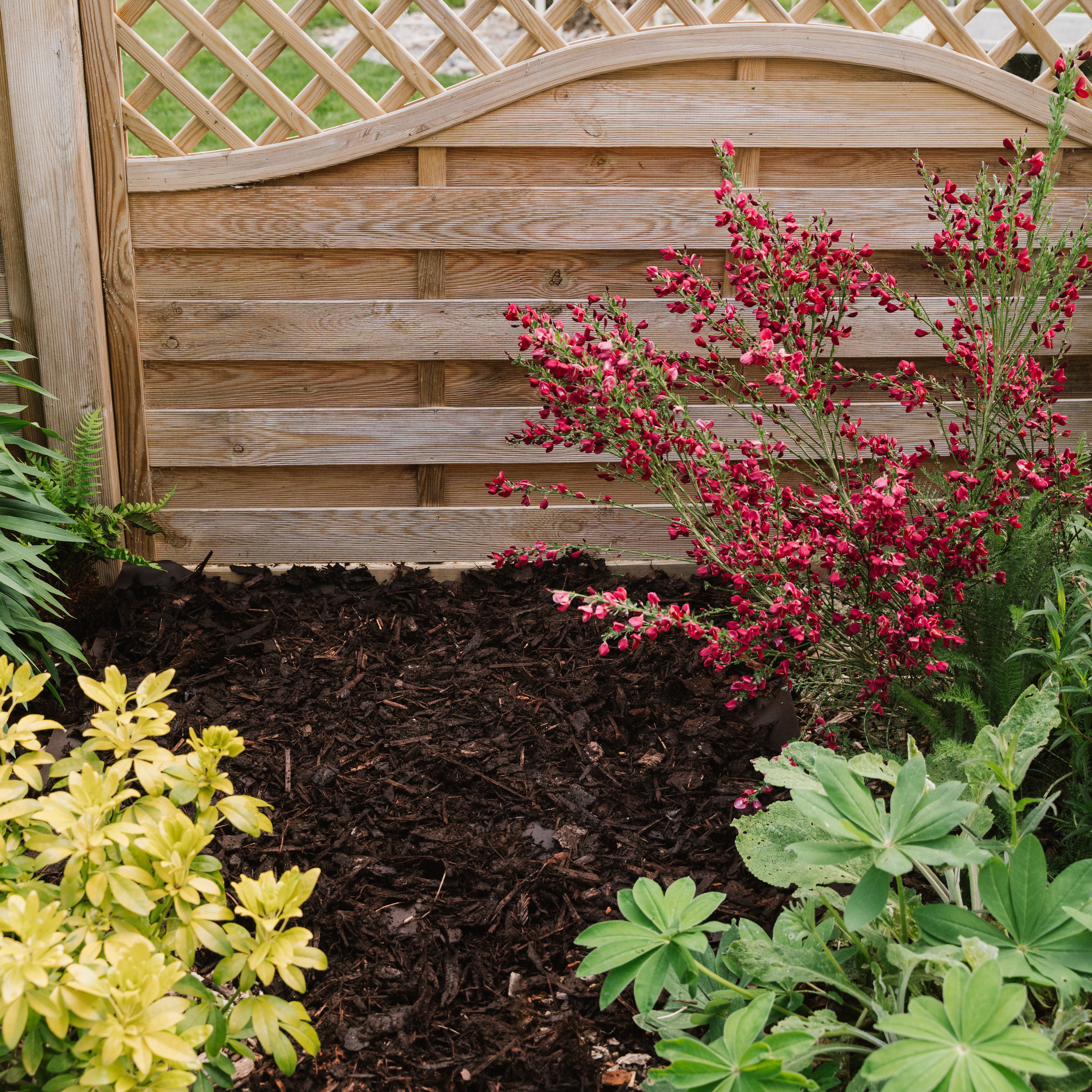 Westland Bed & Border Brown Bark chippings 50L Bag