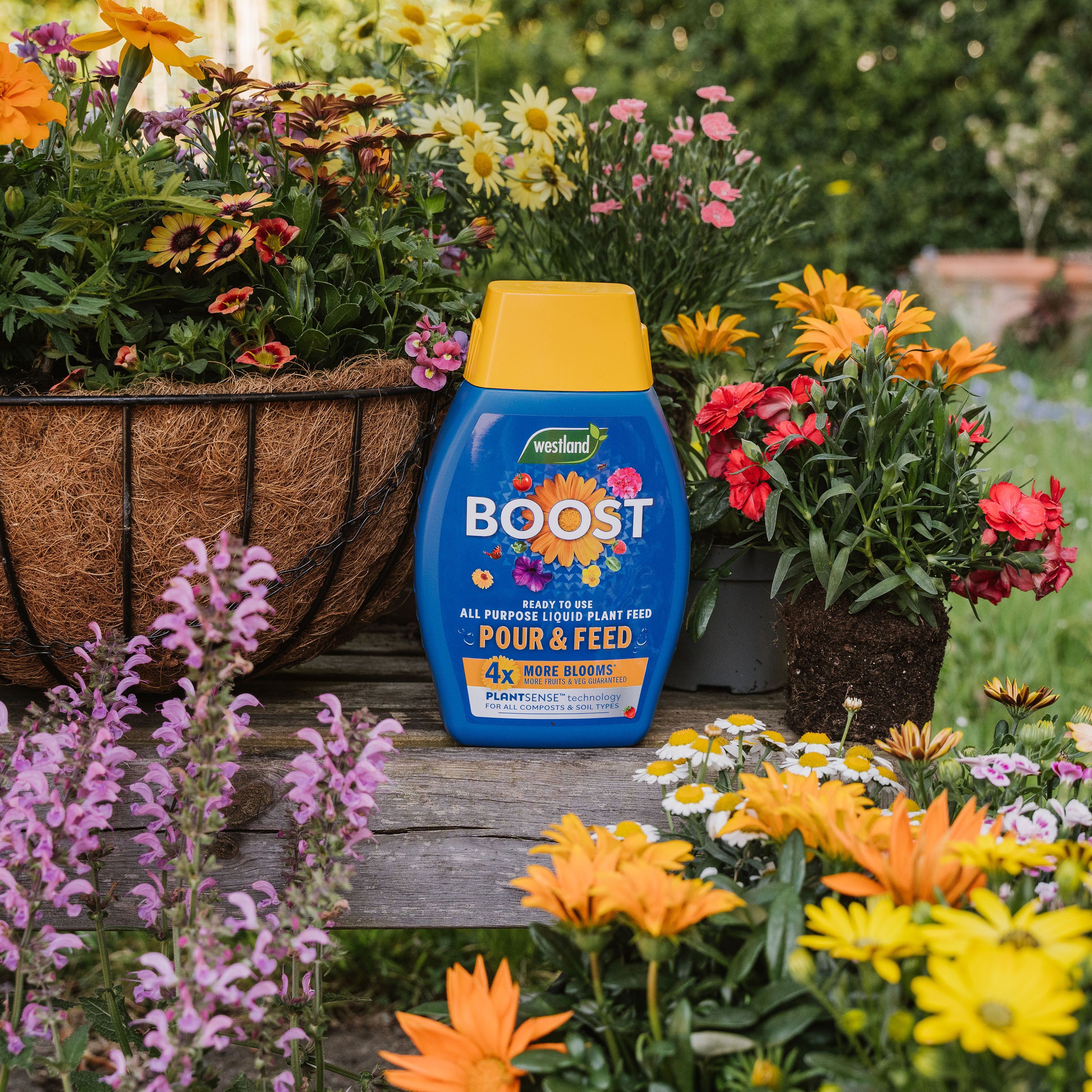 Westland Boost Liquid Universal Pour & feed, 1L