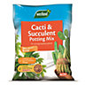 Westland Cacti & succulent Compost 4L Bag