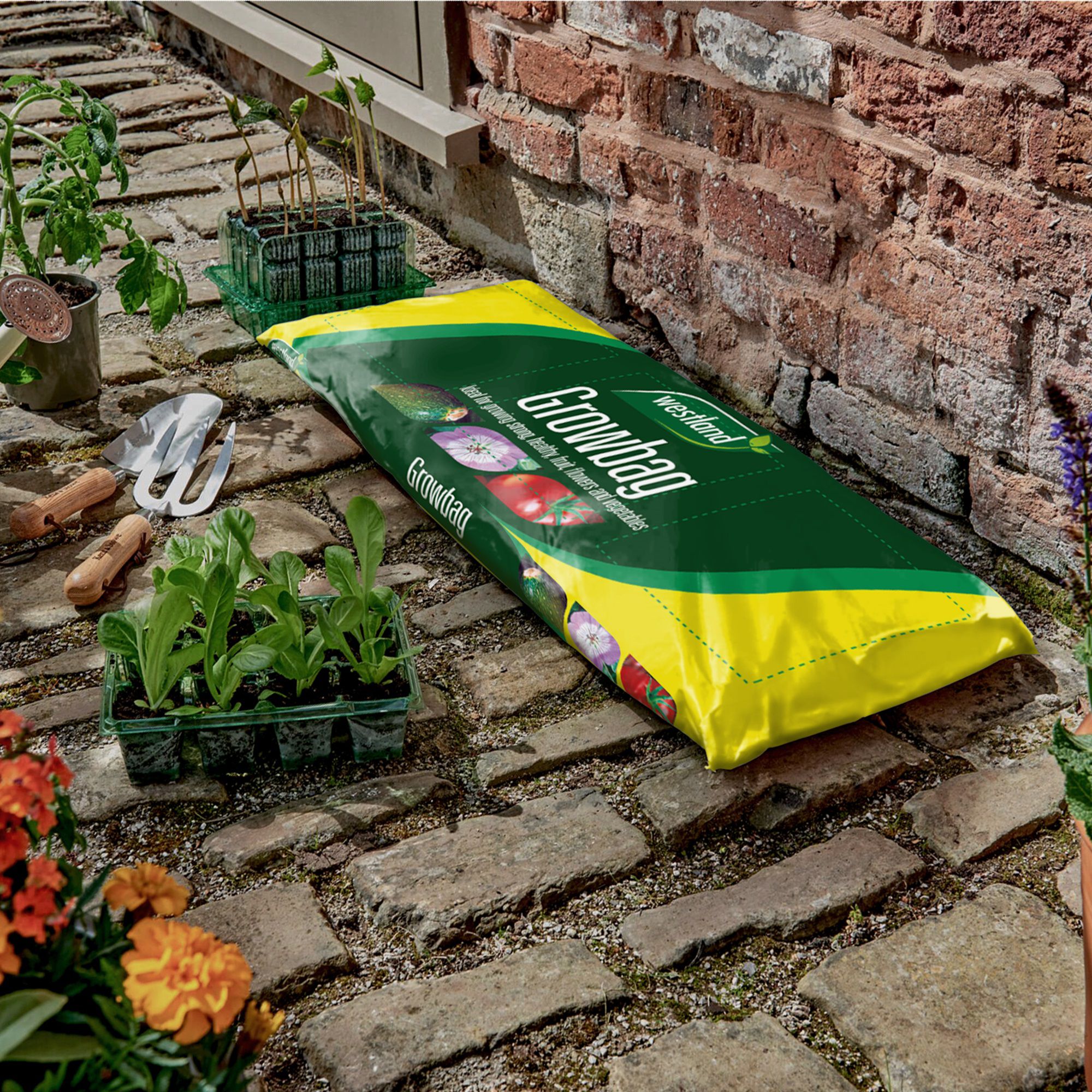 Westland Growbag Peat-free Vegetable Compost 30L