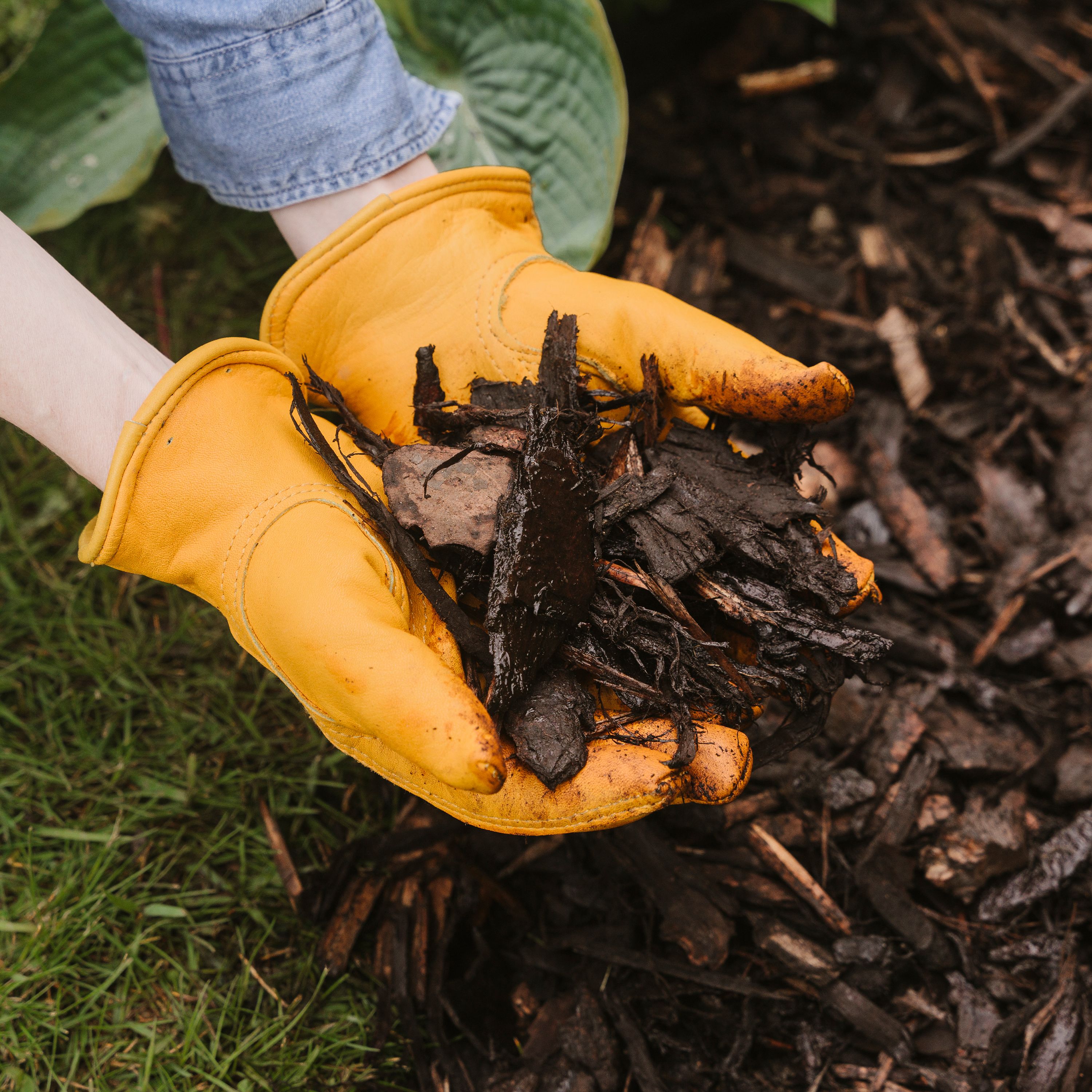 Westland Landscape Brown Large Bark chippings 100L Bag