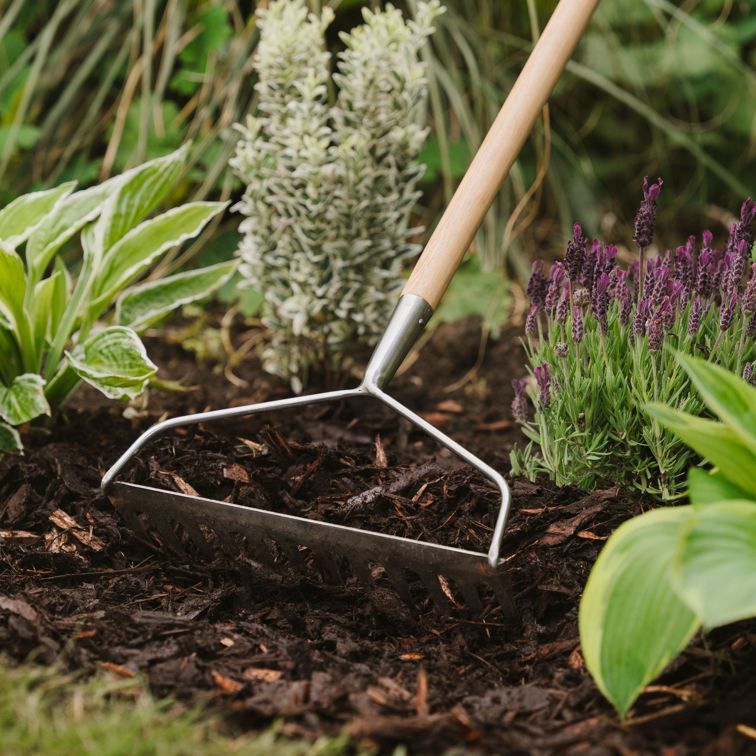 Westland Landscape Brown Large Bark chippings 100L Bag