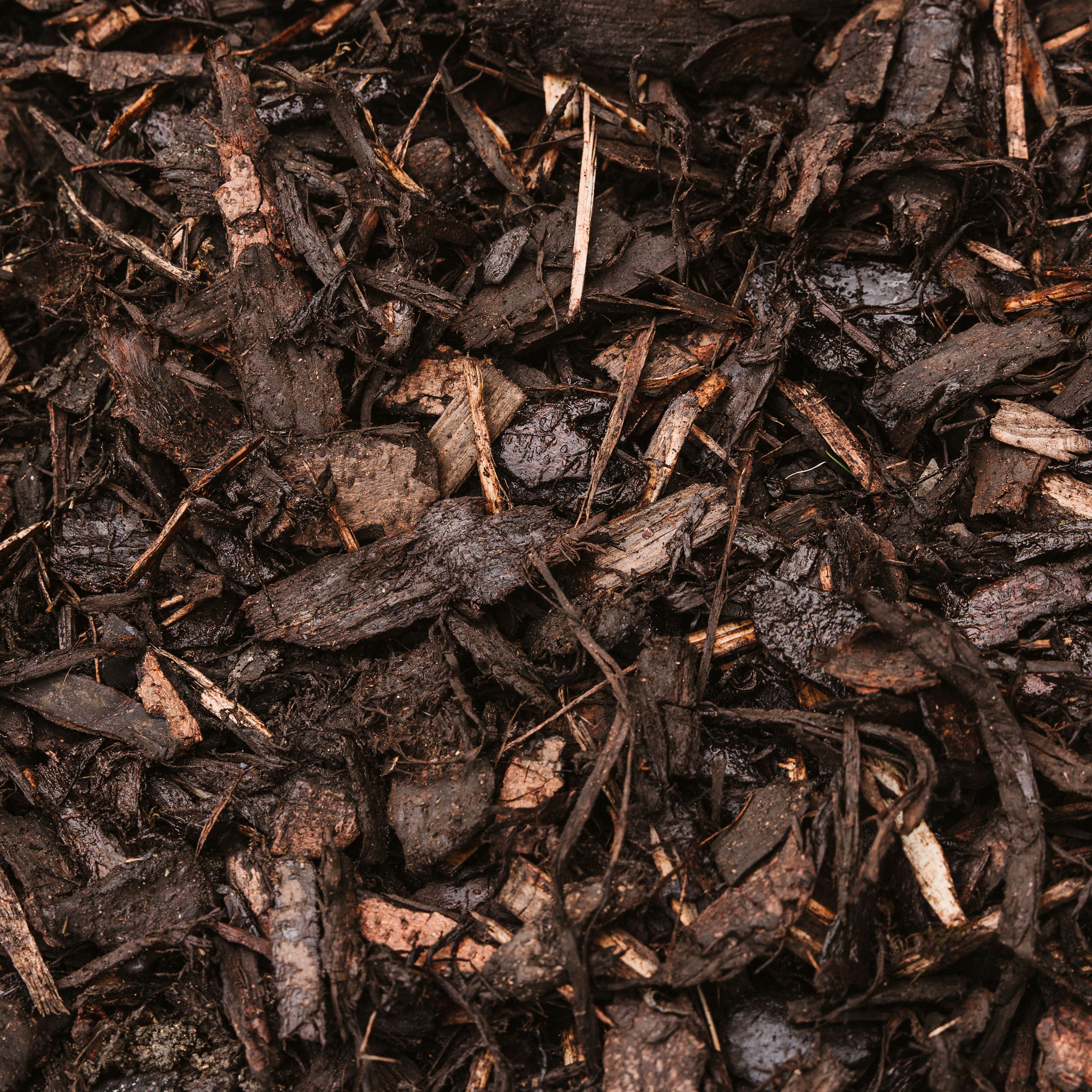 Westland Landscape Brown Large Bark chippings 100L Bag