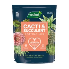 Westland Peat-free Cacti & succulent Potting mix 4L