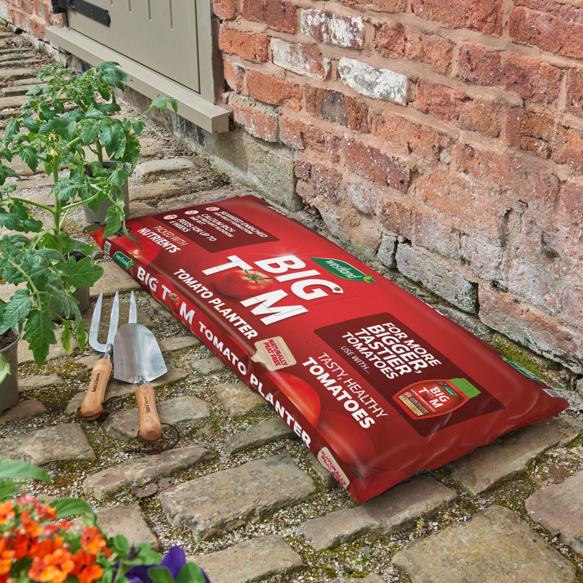 Westland Peat-free Tomato Grow bag 55L