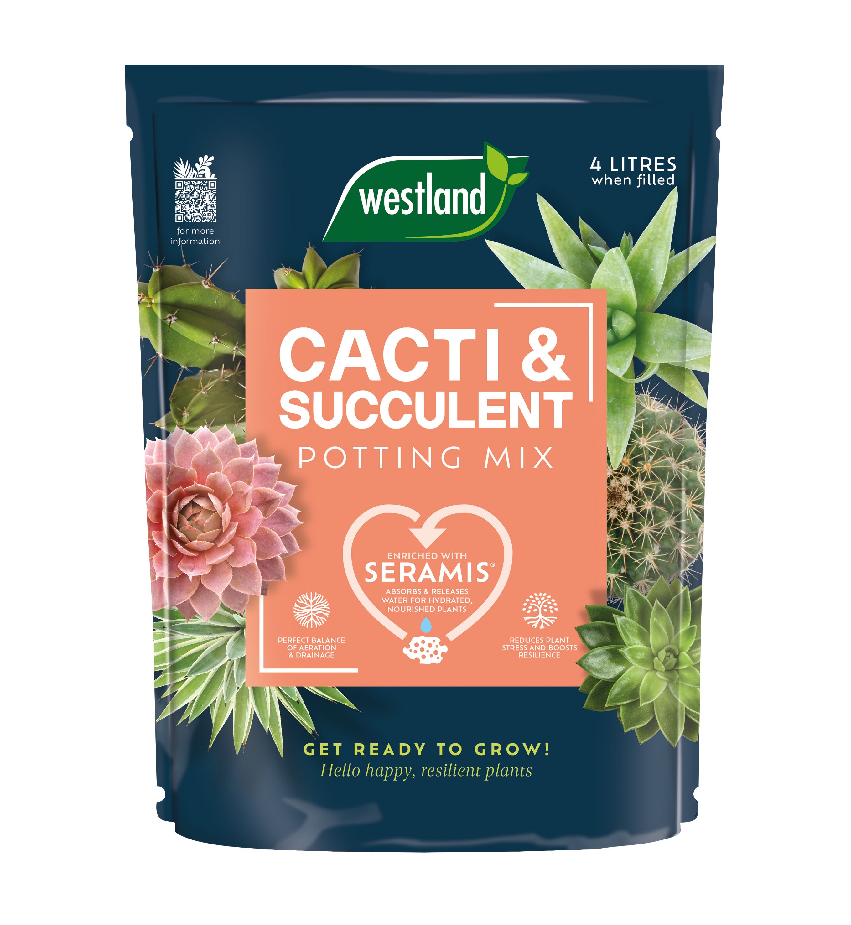 Westland Potting mix Cacti & succulent Compost 4L Bag