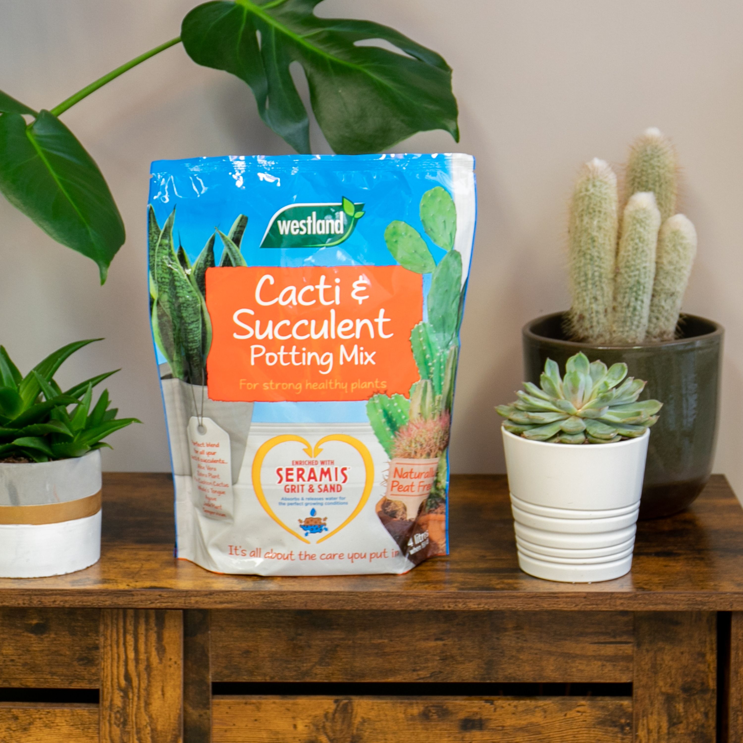 Westland Potting mix Peat-free Cacti & succulent Compost 4L