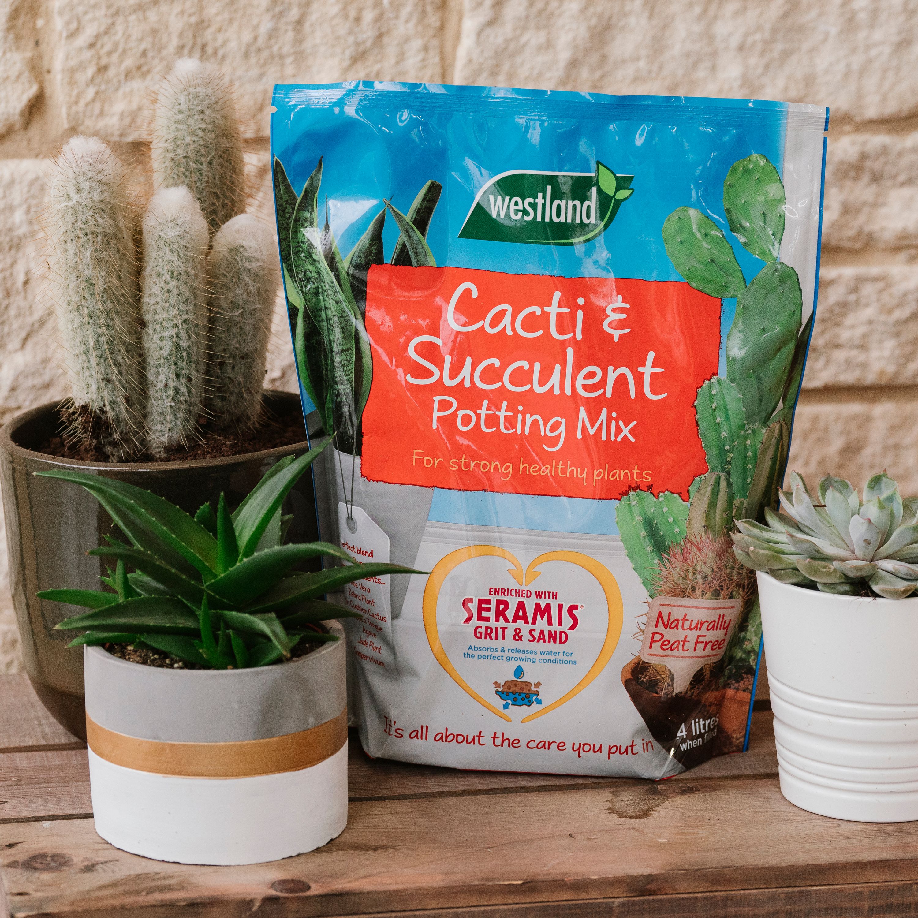 Westland Potting mix Peat-free Cacti & succulent Compost 4L