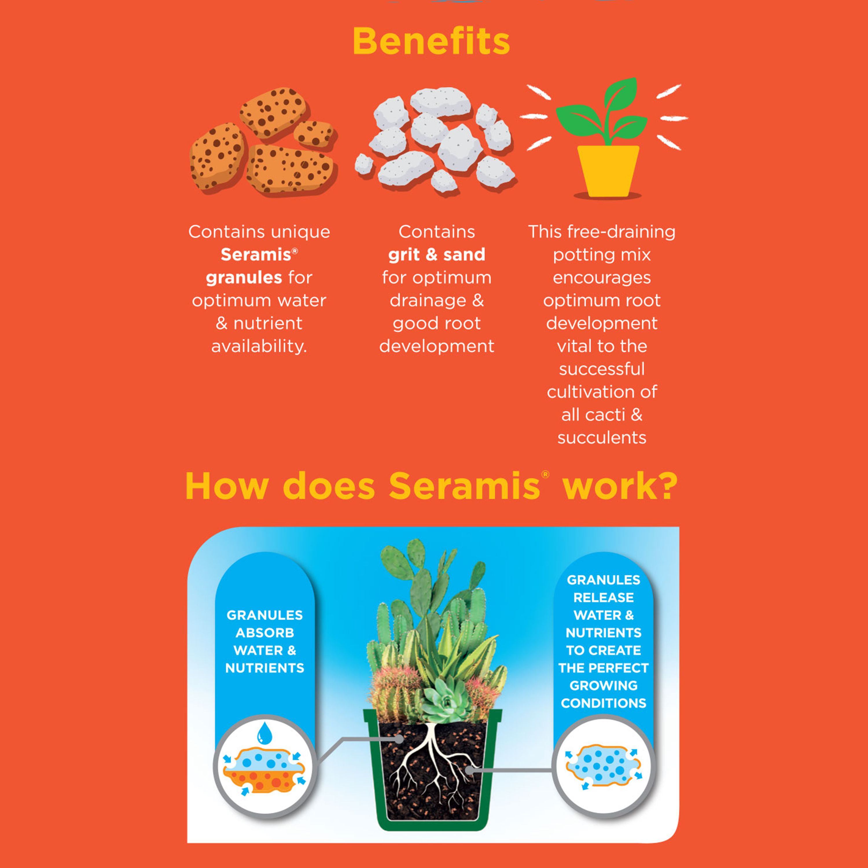 Westland Potting mix Peat-free Cacti & succulent Compost 4L