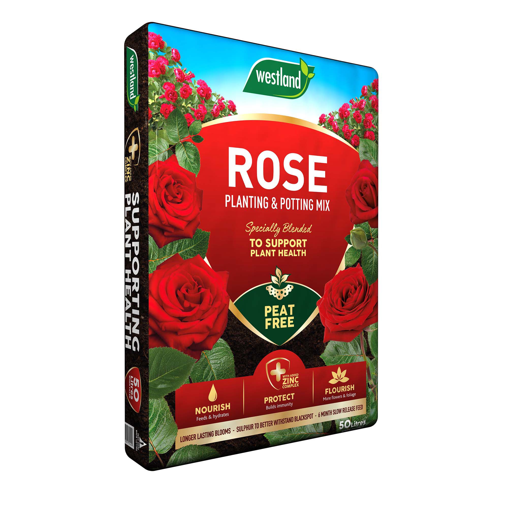 Westland Rose, shrub & tree Compost 50L Bag DIY at B&Q
