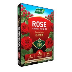 Westland Rose, shrub & tree Compost 50L Bag