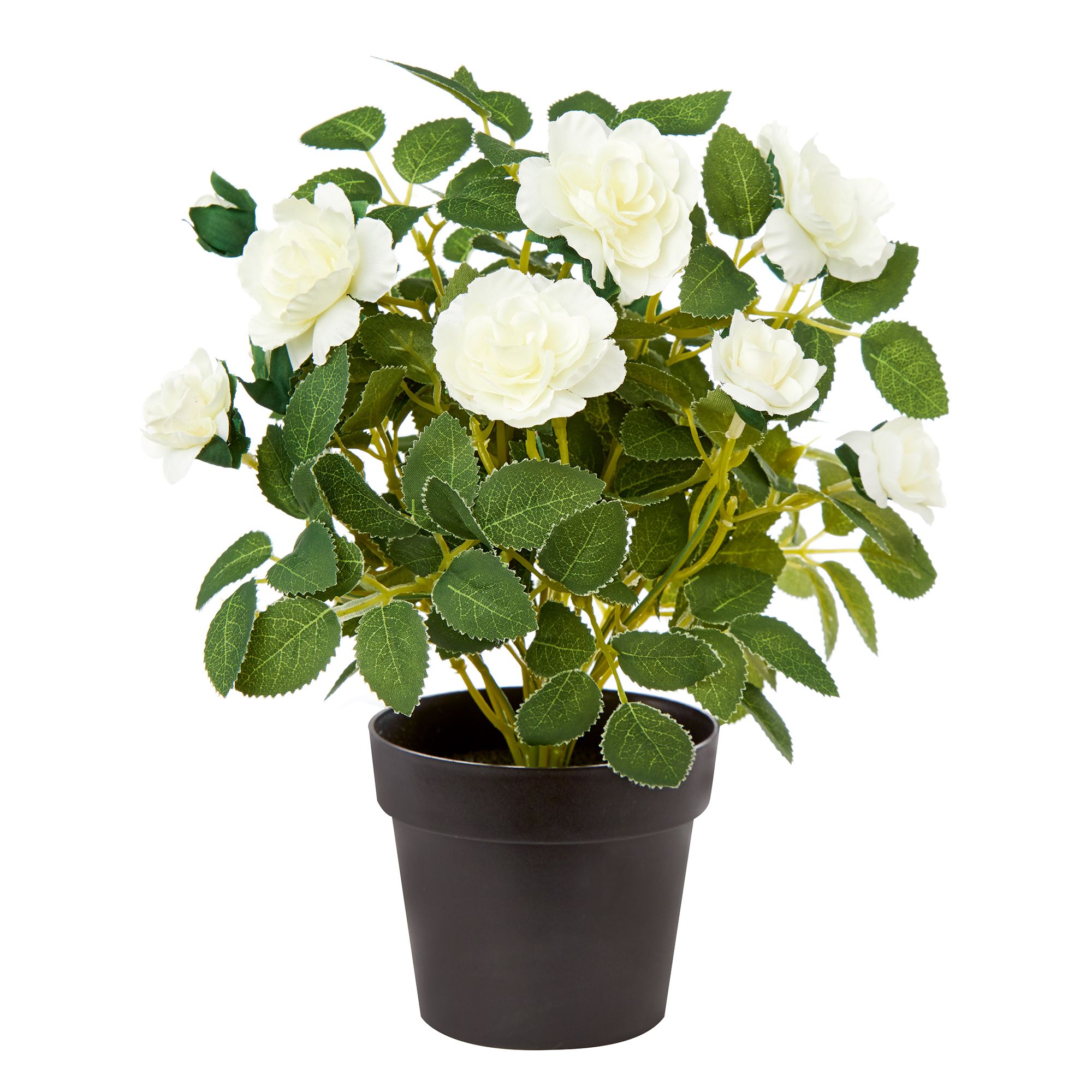 White 27cm Rose bush Artificial plant in Black Plastic Pot