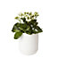 White Concrete Cylindrical Plant pot (Dia)15.4cm