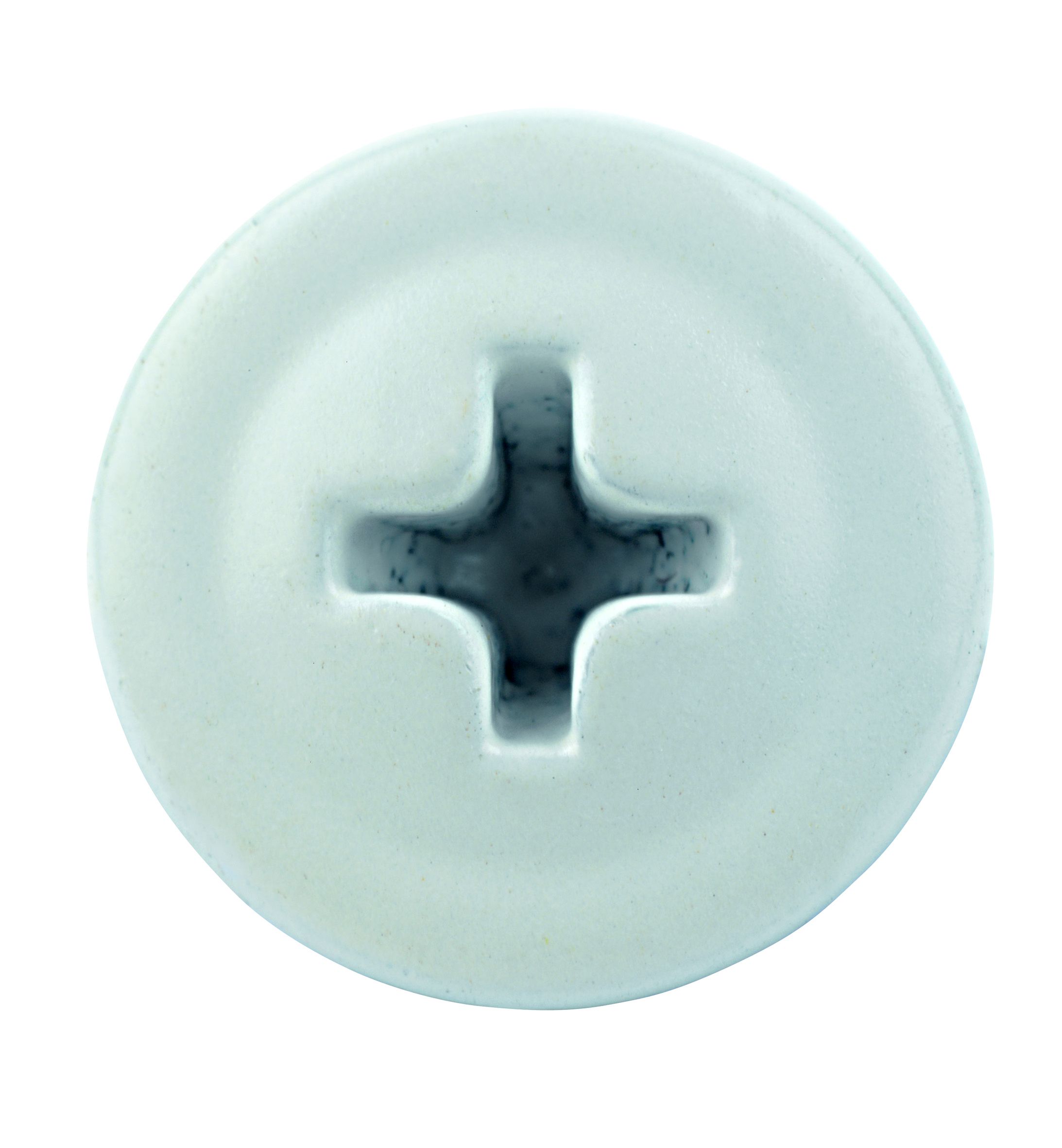 WHITE HEAD SCREWS PACK