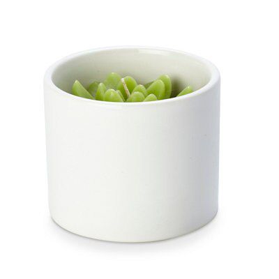 White Succulent Citronella Jar candle