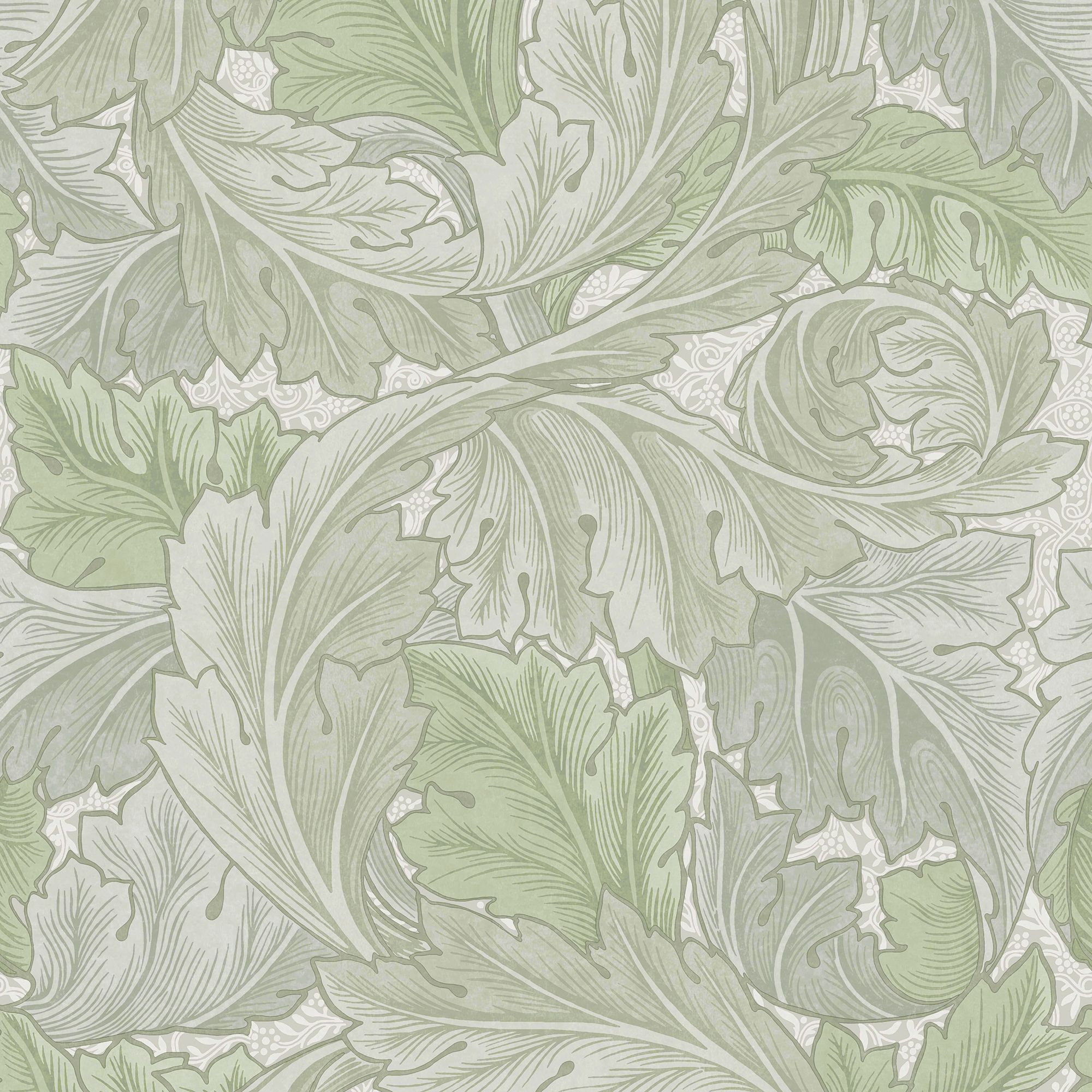 William Morris Misted Sage Acanthus Patterned Smooth Wallpaper