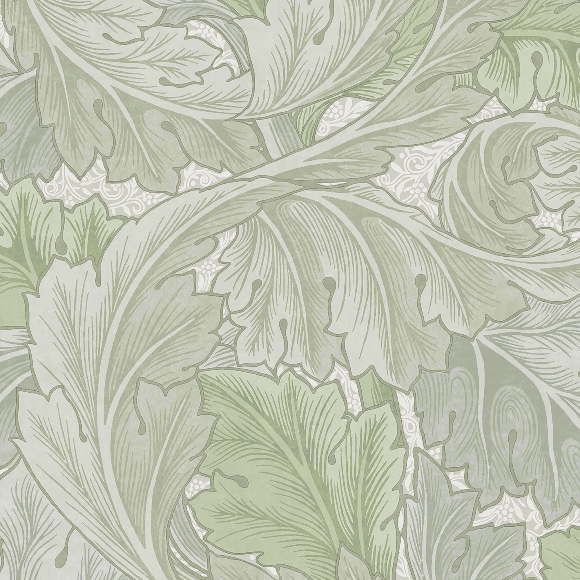 William Morris Misted Sage Acanthus Patterned Smooth Wallpaper