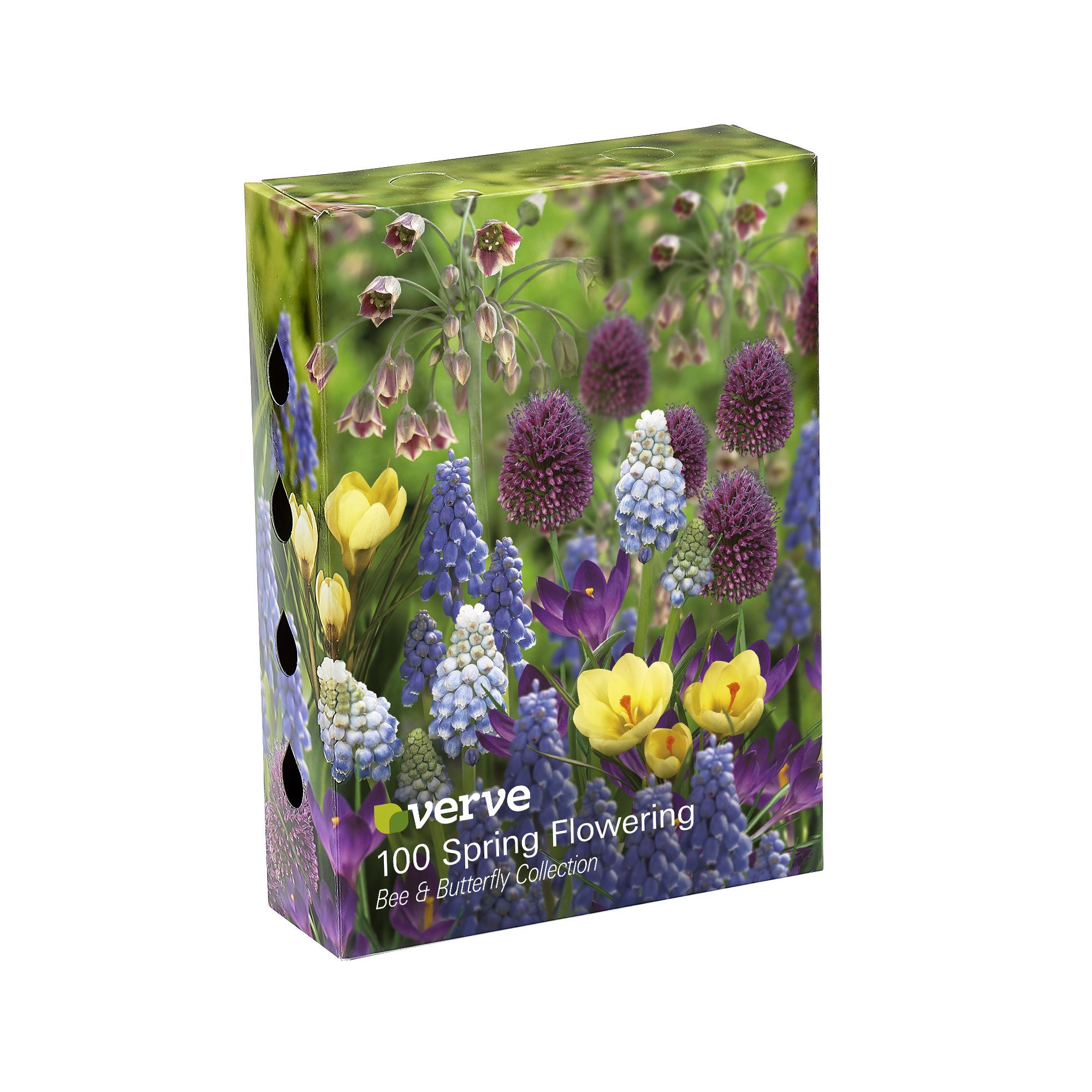 Winter Aconite, Allium sphaerocephalon, Allium bulgaricum, Allium roseum, Grape Hyacinth, Crocus Cream Beauty, Crocus Ruby Giant 100 Flower bulbs