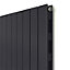 Ximax Vertirad Slimline Duplex Deluxe Matt anthracite Vertical Designer panel Radiator, (W)295mm x (H)1800mm