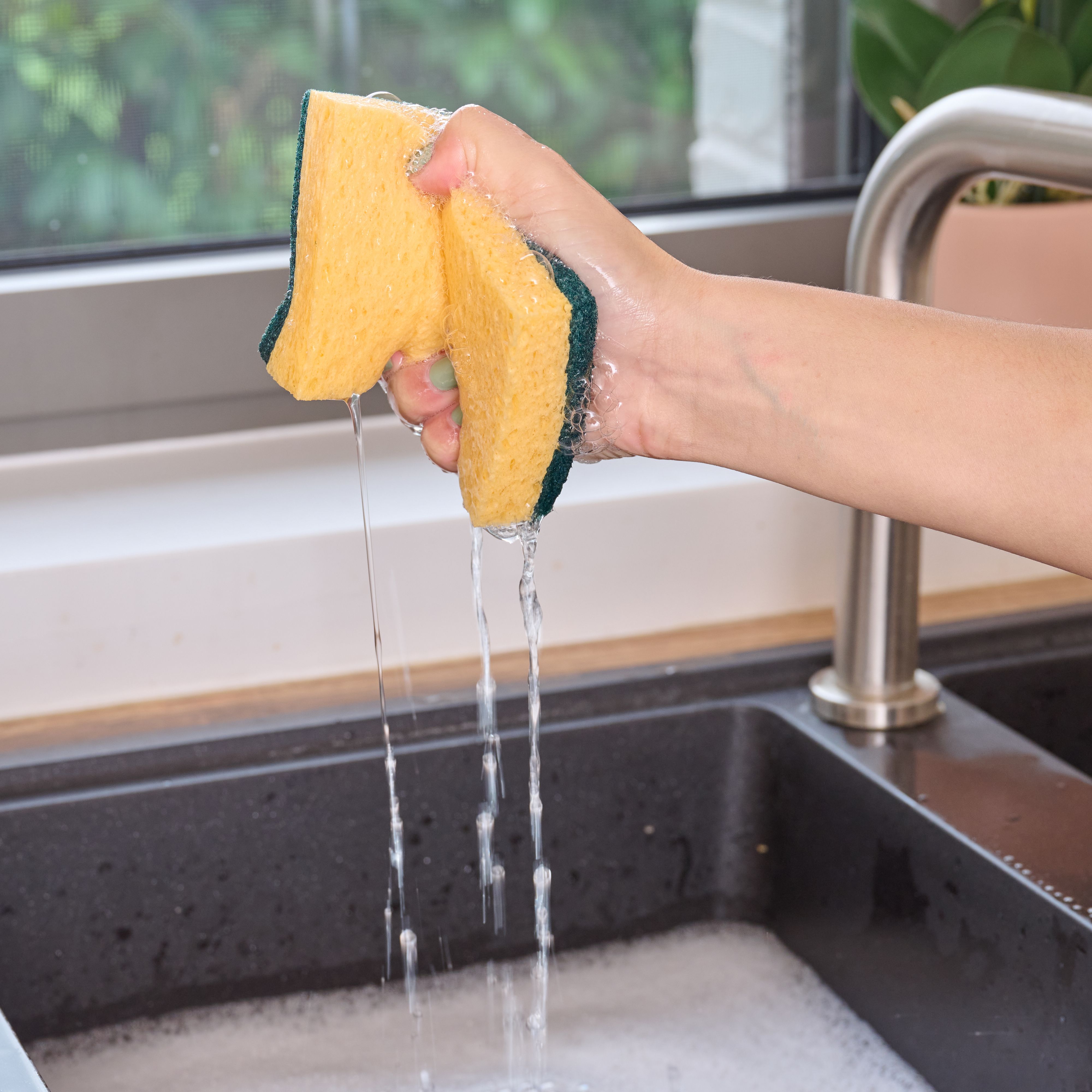 Yellow & green Cellulose Sponge scourer, Pack of 10