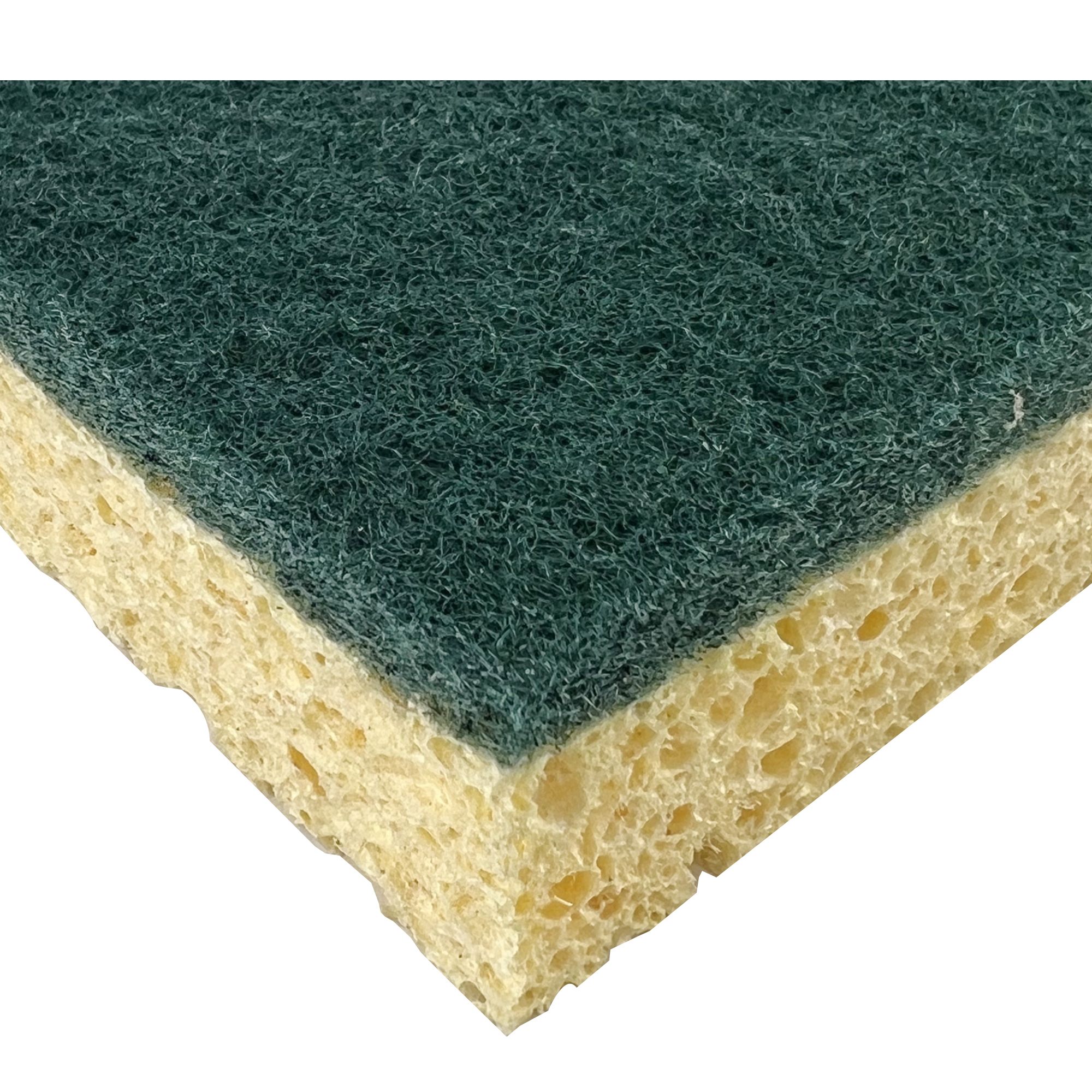 Yellow & green Cellulose Sponge scourer, Pack of 10