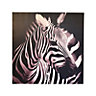 Zebra Black & white Canvas art (H)800mm (W)800mm