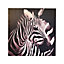 Zebra Black & white Canvas art (H)800mm (W)800mm