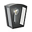 Zinc Viol Fixed Matt Black Mains-powered LED Outdoor Curved Wall lantern (Dia)22cm