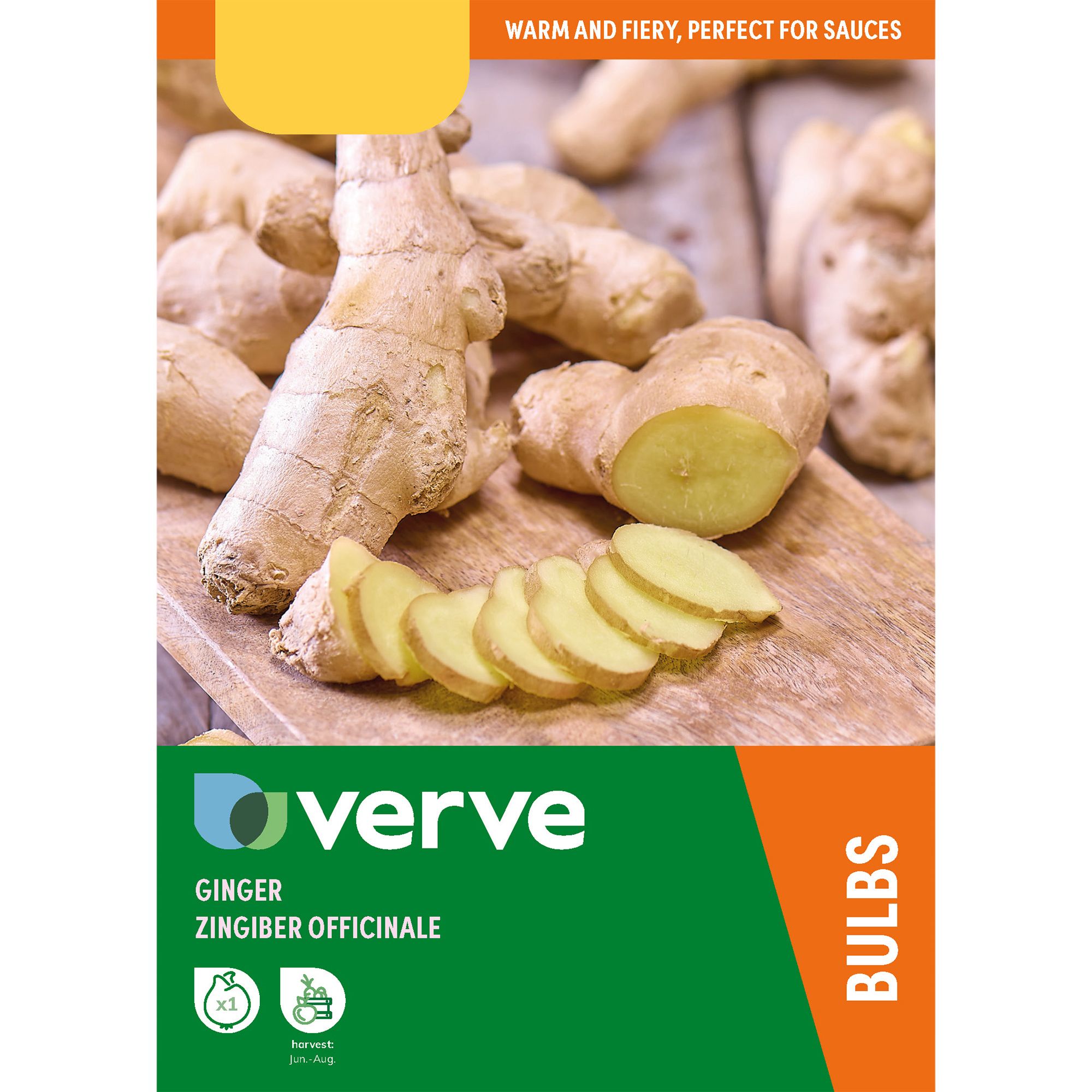 Zinibar Officinale Ginger Vegetable bulb