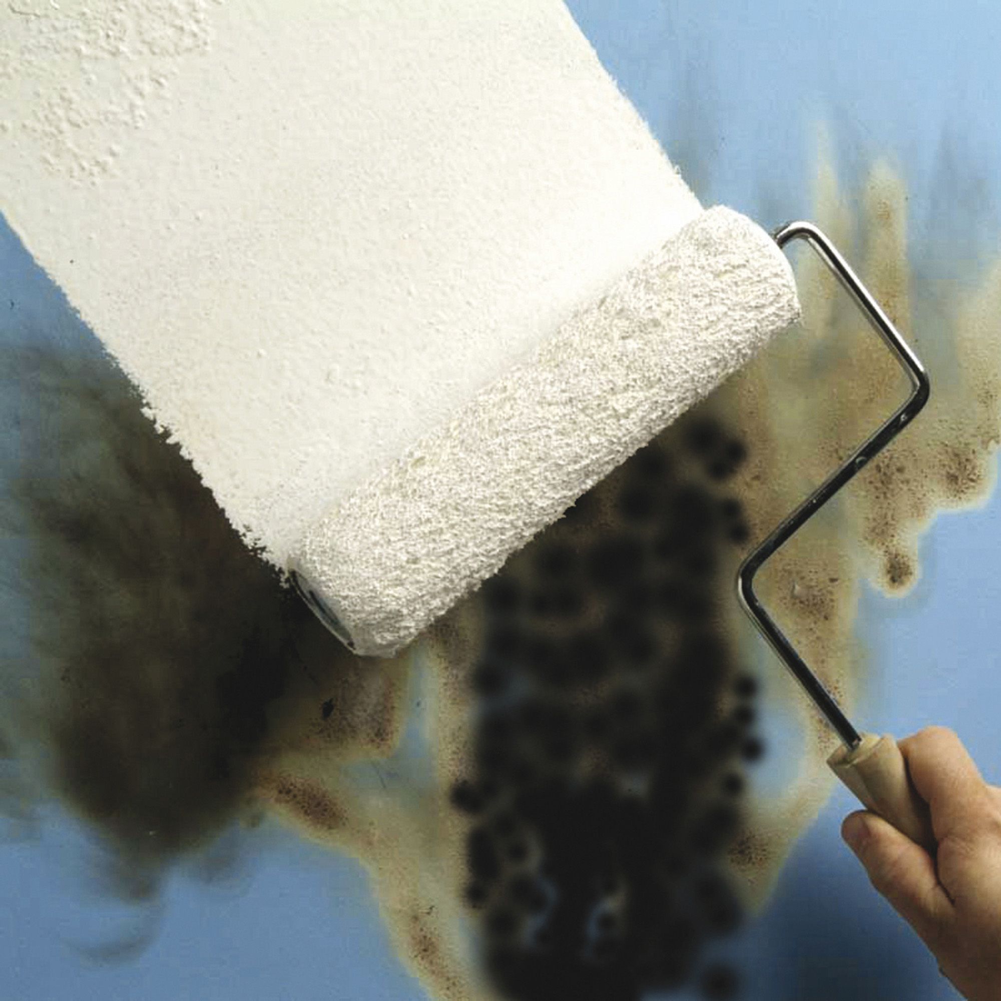 Zinsser B-I-N White Multi-surface Matt Primer - 5