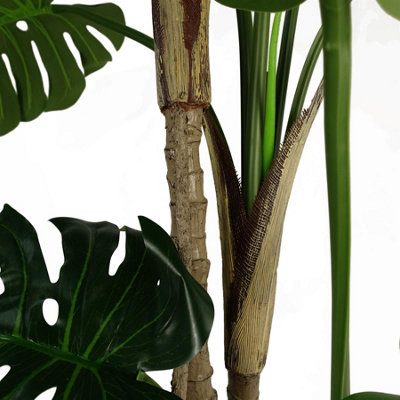 (5ft) Luxury Monstera Plant Black Pot 150cm