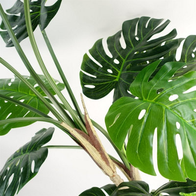 (5ft) Luxury Monstera Plant Black Pot 150cm