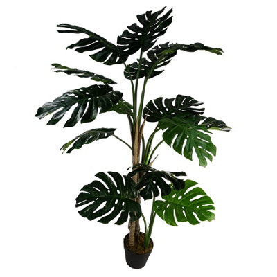 (5ft) Luxury Monstera Plant Black Pot 150cm