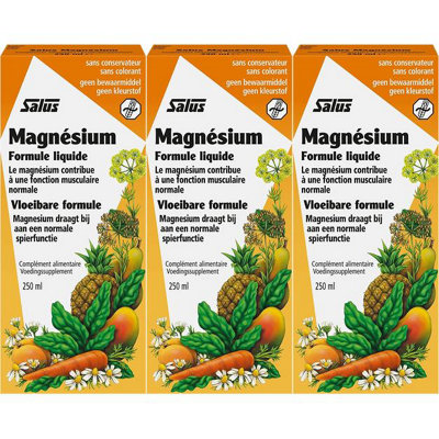 (D) Floradix Magnesium Liquid Mineral Supplement 250ml (Pack of 3