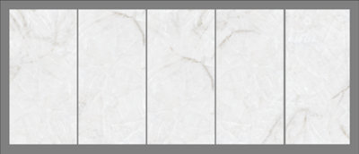 (TNT) SNOW SHEEN 120 X 60 CM MATT (1 BOX HAS 2 TILES COVERING 1.44 SQM)