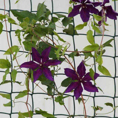 0.5 x 5m Climbing Plant & Fencing Garden Mesh Outdoor Indoor Netting Protect Heavy Duty