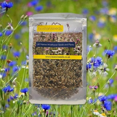 Image of Boston Seeds Wild Bird Wildflower Seed Bs14P 100% (100 G)