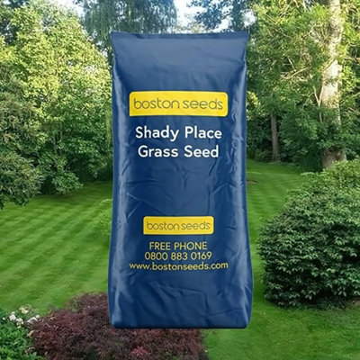 Boston Seeds Bs Shade Tolerant Grass Seed (1 X 5Kg) from B&Q
