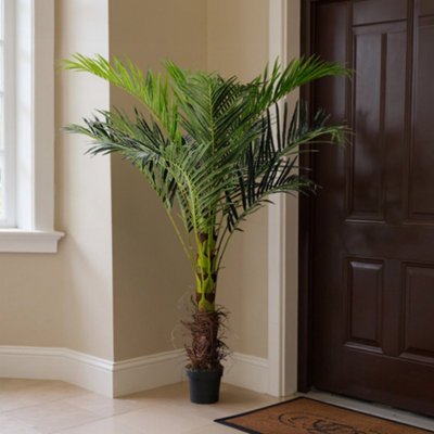 Darphe Artificial Home Decoration Imitation Potted Palm Tree Height 180 Cm from B&Q