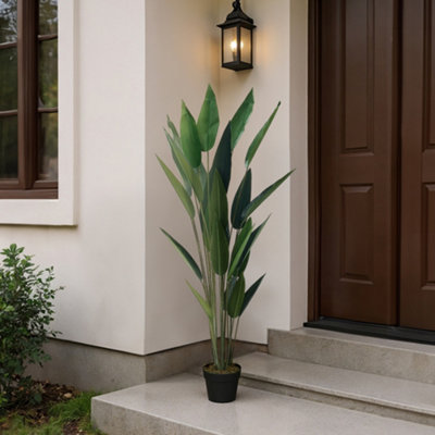 Darphe Artificial Bird Of Paradise Black Indoor Plant Pot Height 160 Cm from B&Q