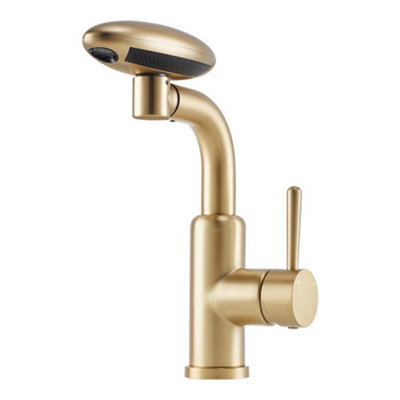 Darphe Pull-Out Sprayer Retractable Kitchen Faucet With 4 Modes In Gold from B&Q