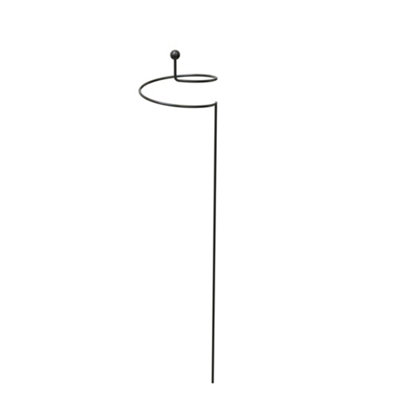 Panacea Steel Single Stem Plant Support (L)75Cm (Dia)15Cm from B&Q