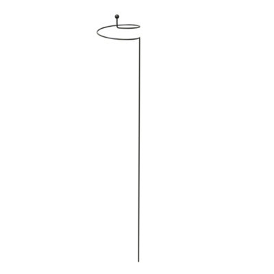 Panacea Steel Single Stem Plant Support (L)130Cm (Dia)20Cm from B&Q