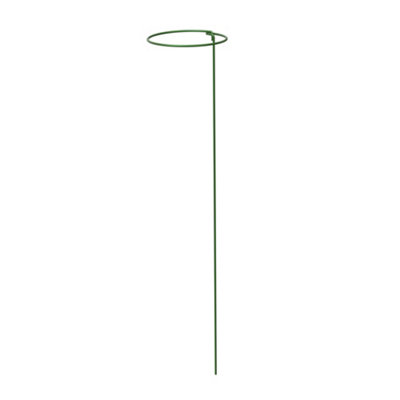 Panacea Steel Single Stem Plant Support (L)75Cm (Dia)15CmPack Of 3 from B&Q