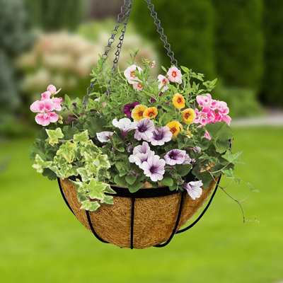 Shop pots and planters